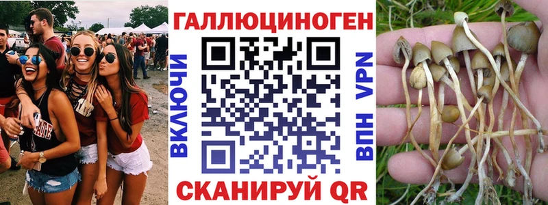 Галлюциногенные грибы прущие грибы  Купить закладки  Вяземский 